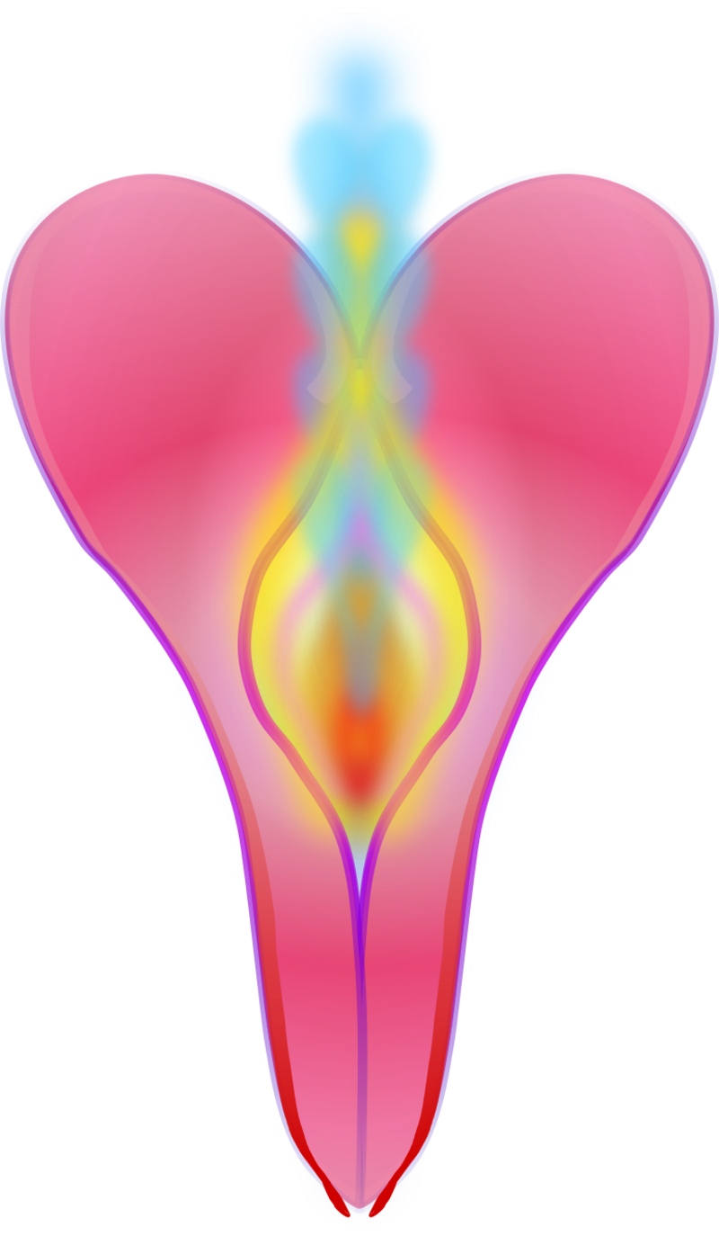  djeleas corgone f03_col 