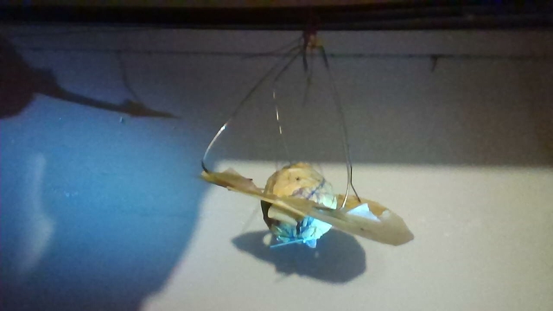  auteur autre 2025-01-06-162251 