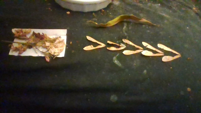  auteur autre 2025-01-06-163136 