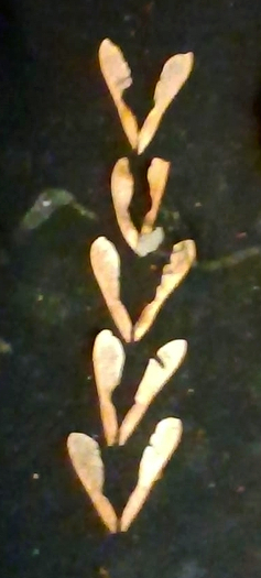  auteur autre 2025-01-06-163147 