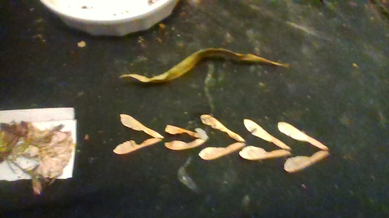  auteur autre 2025-01-06-163151 