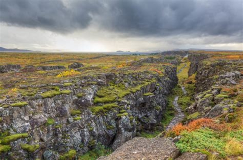  auteur autre th-3584652786 