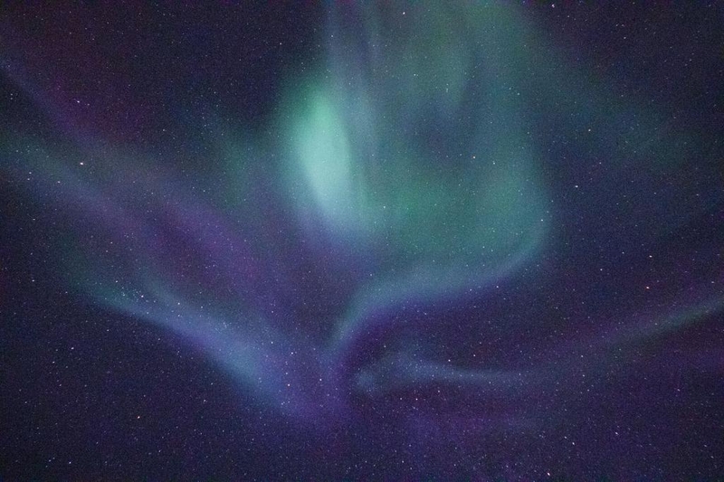  djeleas Corgone 5_13_2 