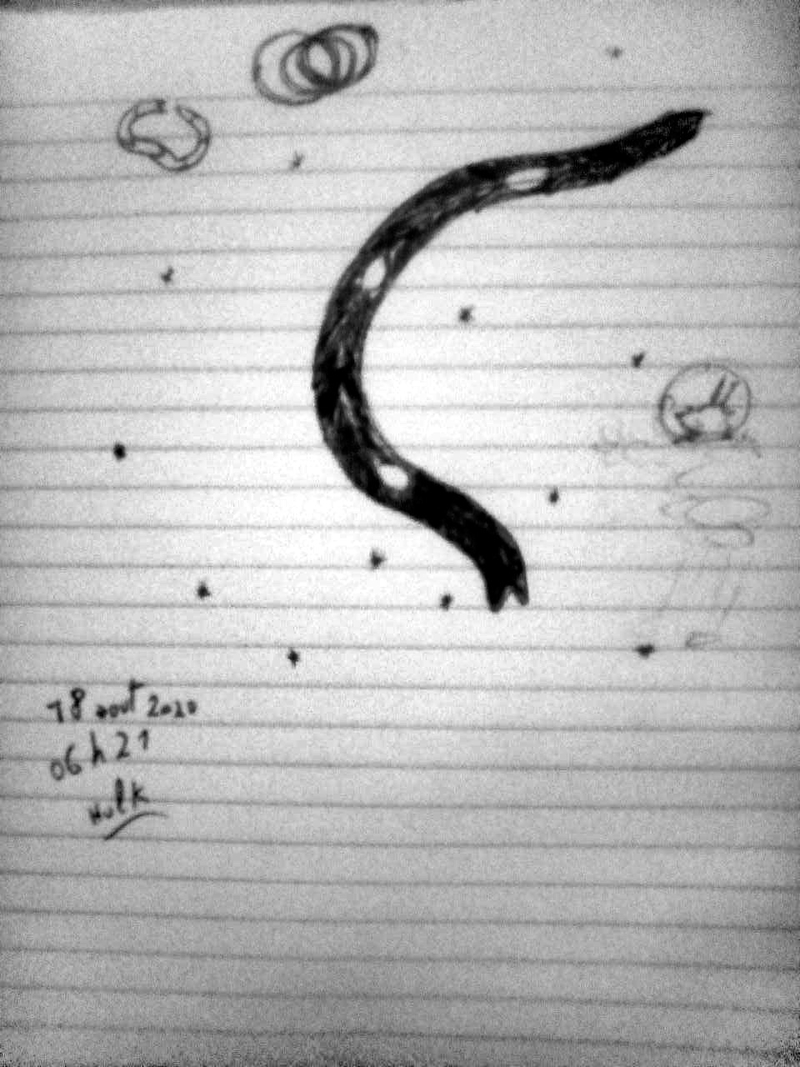  djeleas Corgone photo_2020-08-24_04-22-59 