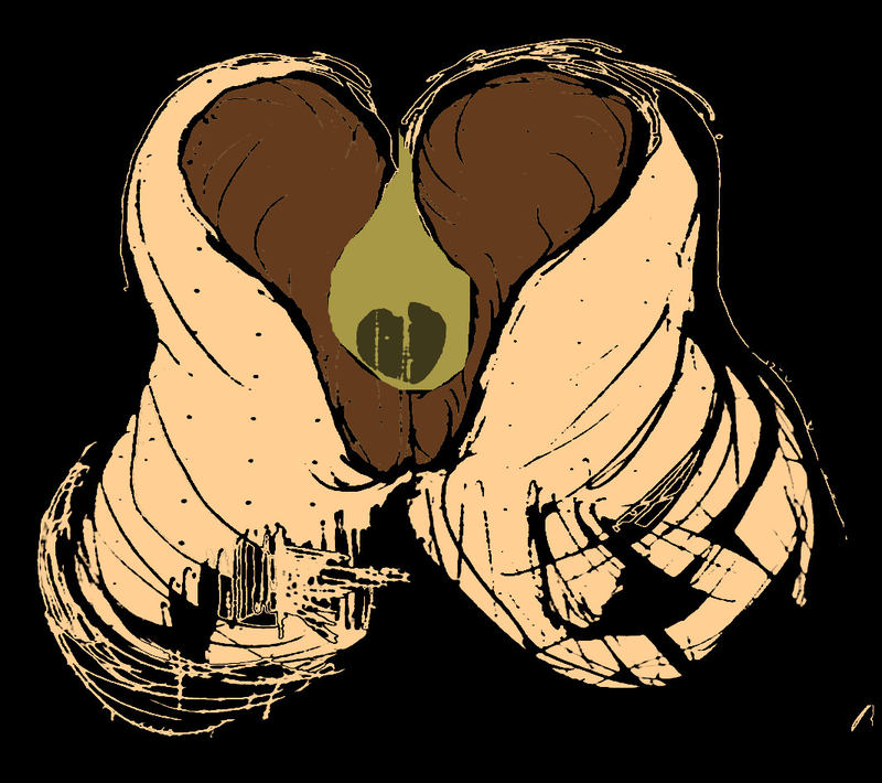  djeleas corgone c_n_add_01 