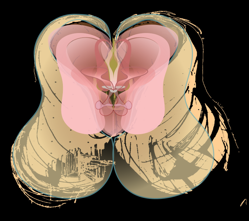  djeleas corgone c_n_add_03 