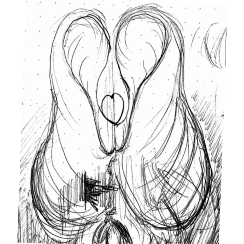  djeleas corgone c_n_add 