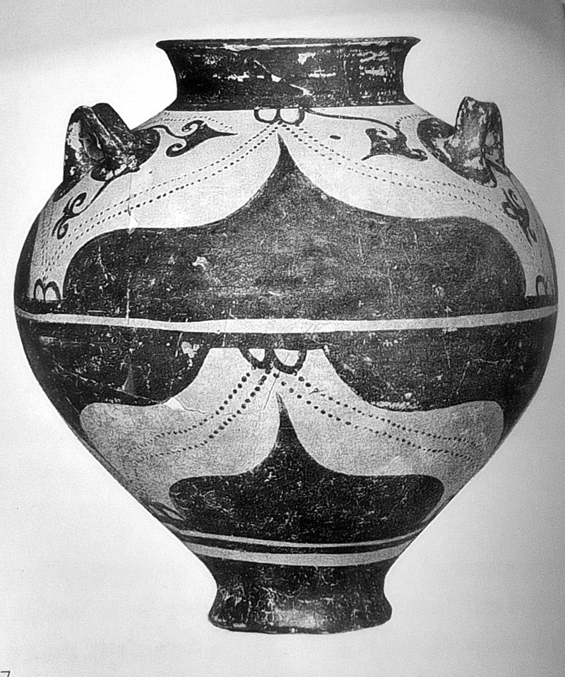  djeleas corgone c_15_01 