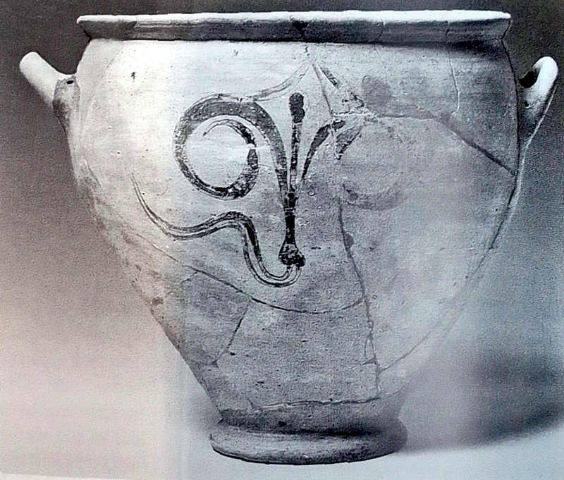  djeleas corgone c_21_00 