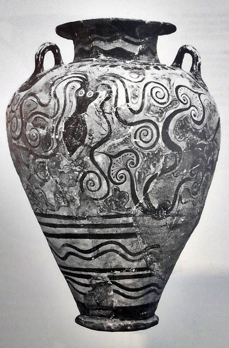  djeleas corgone c_23_02 