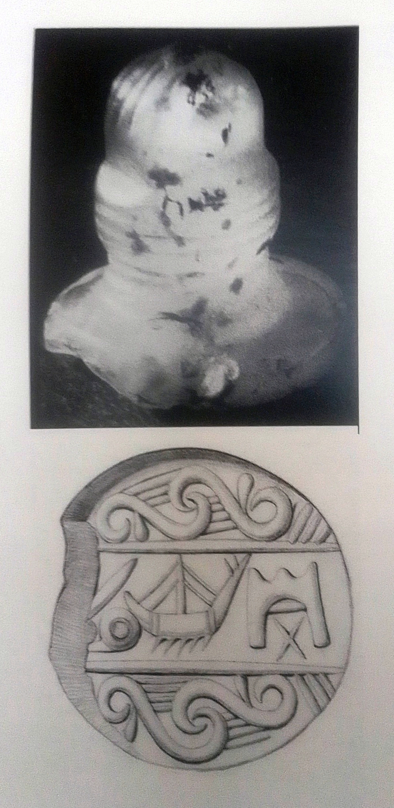  djeleas corgone s_11 