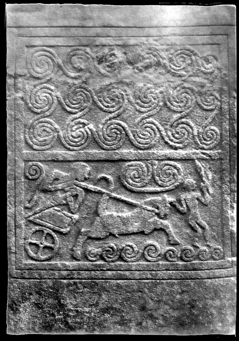  djeleas corgone s_19 