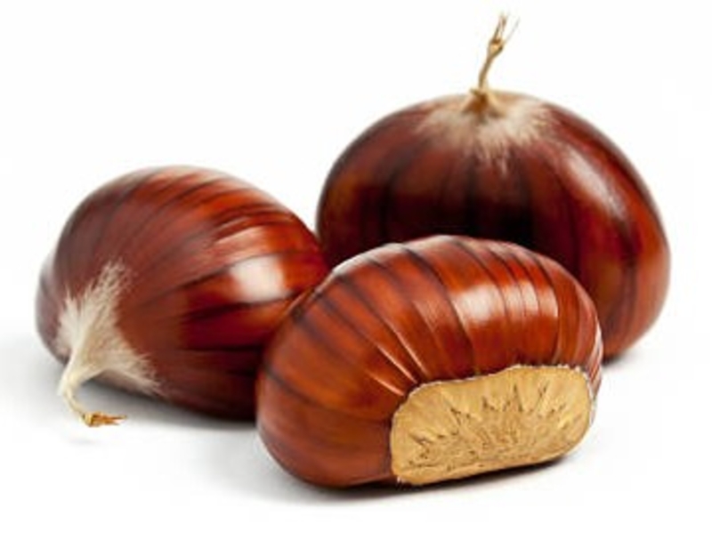  auteur autre chestnut_00 