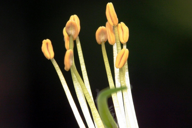  auteur autre anther_06 