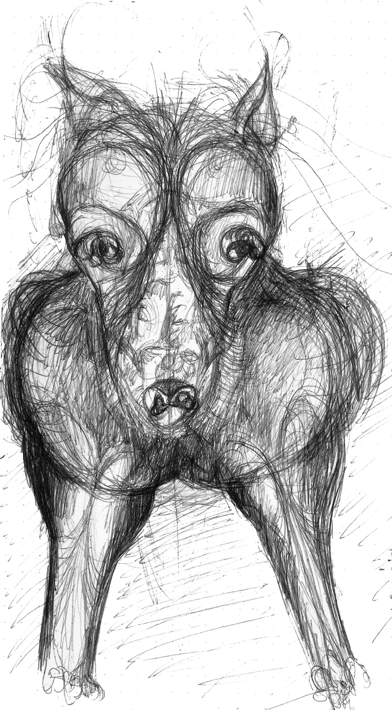  djeleas corgone 0078_02 